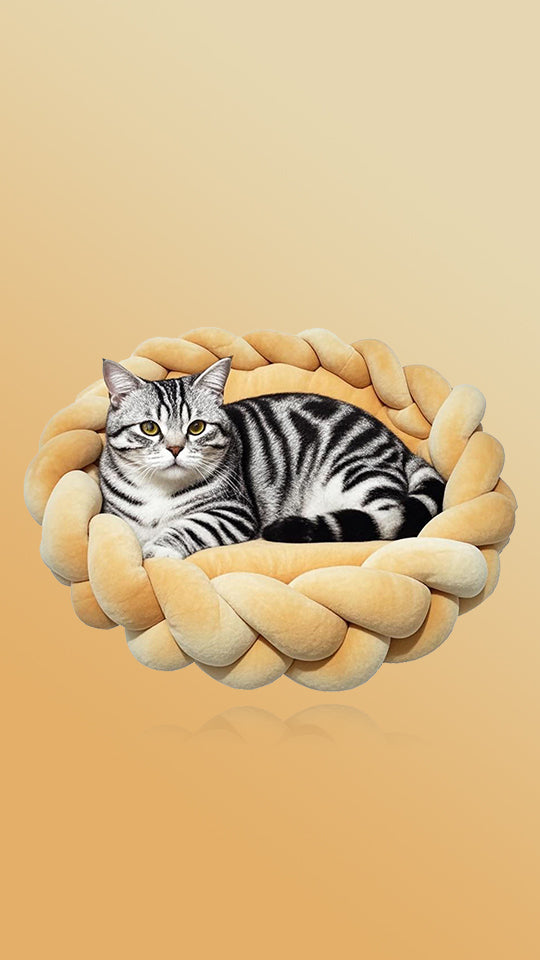 Pet Supplies