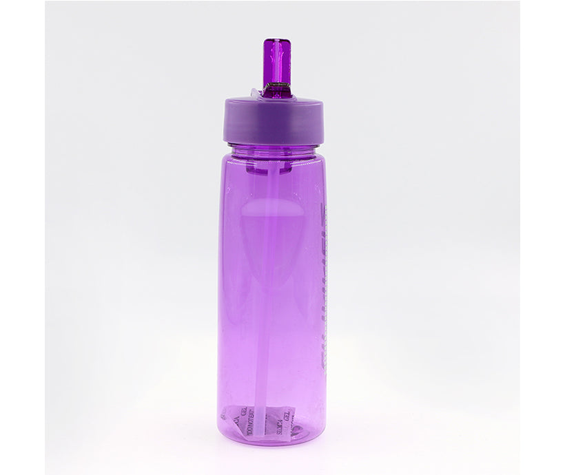 Promotion gift plastic tumbler with straw
