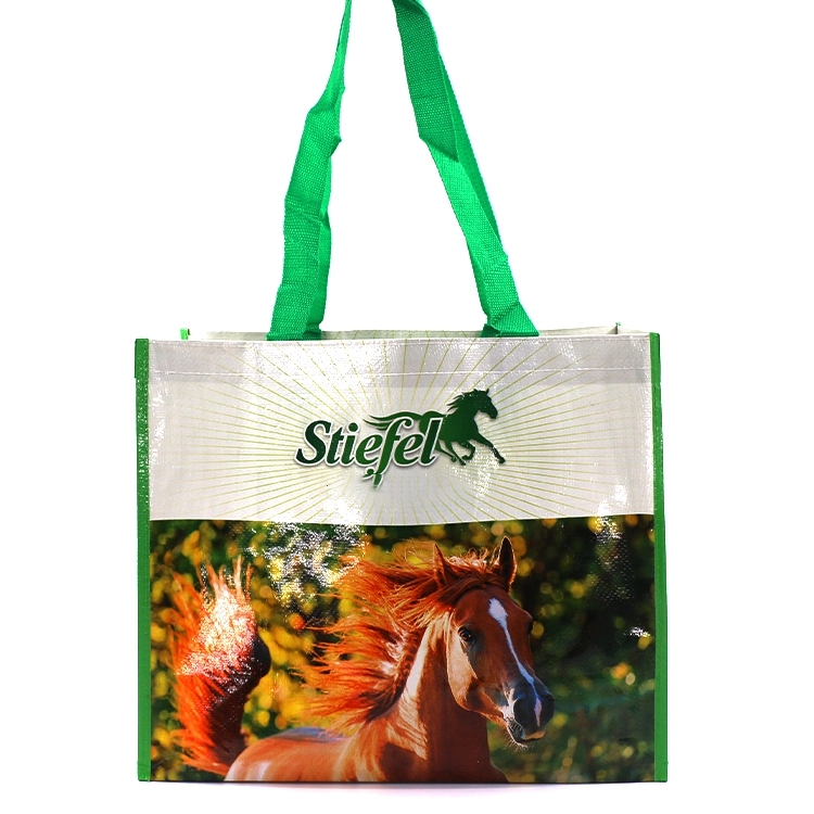 Cheap Promotional Custom PP Non Woven Laminated Shopping Bag