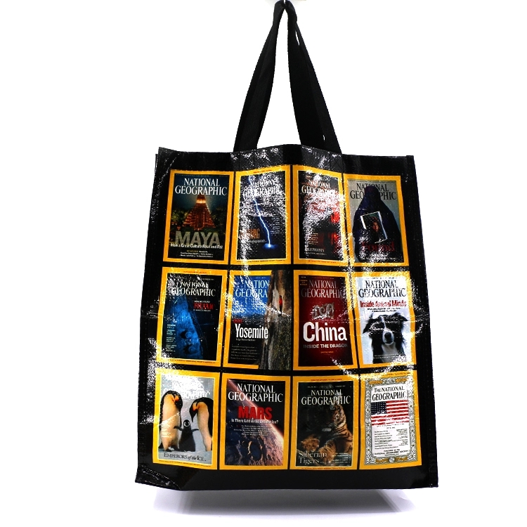 Cheap Promotional Custom PP Non Woven Laminated Shopping Bag