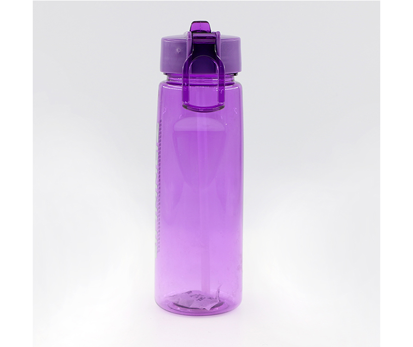 Promotion gift plastic tumbler with straw